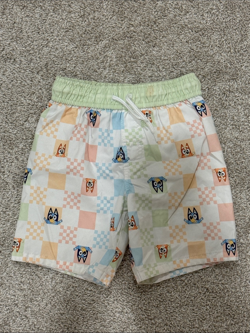 Boys Bluey Swimming Trunks